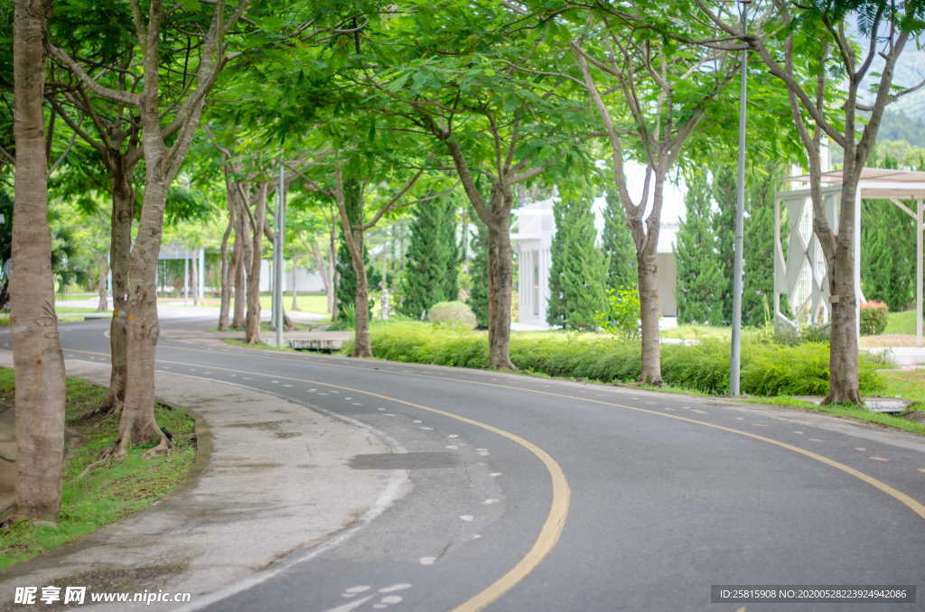 公路山路小径小道图片