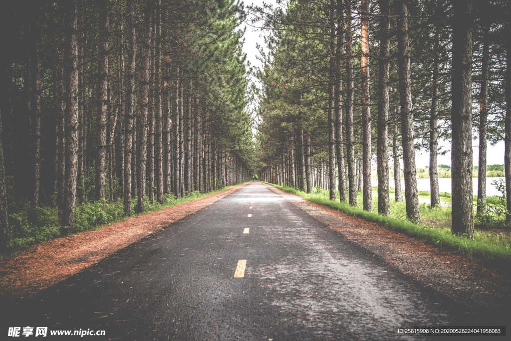 公路山路小径小道图片