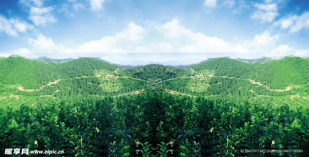 蓝天草地海报背景