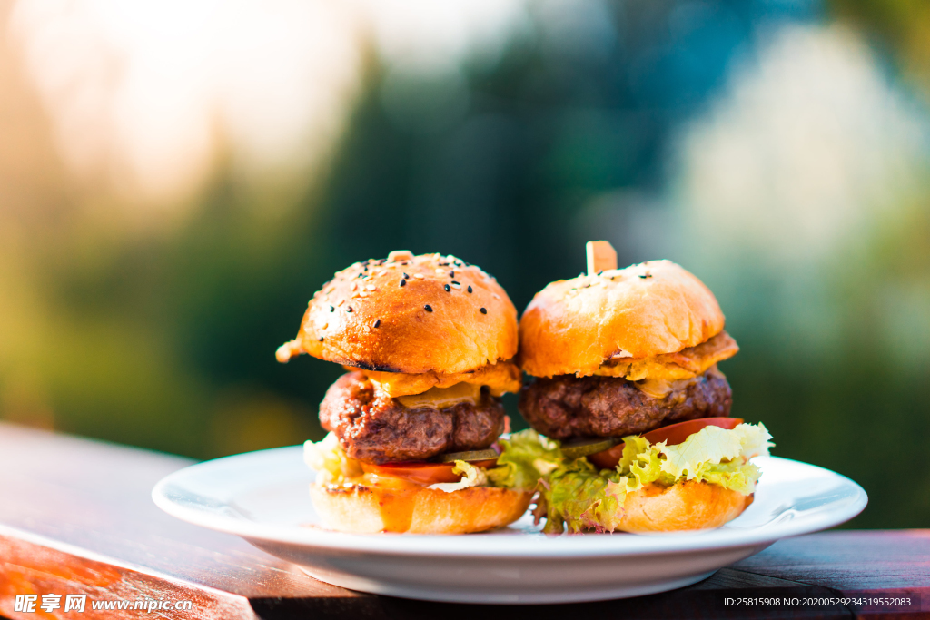 汉堡包汉堡图片