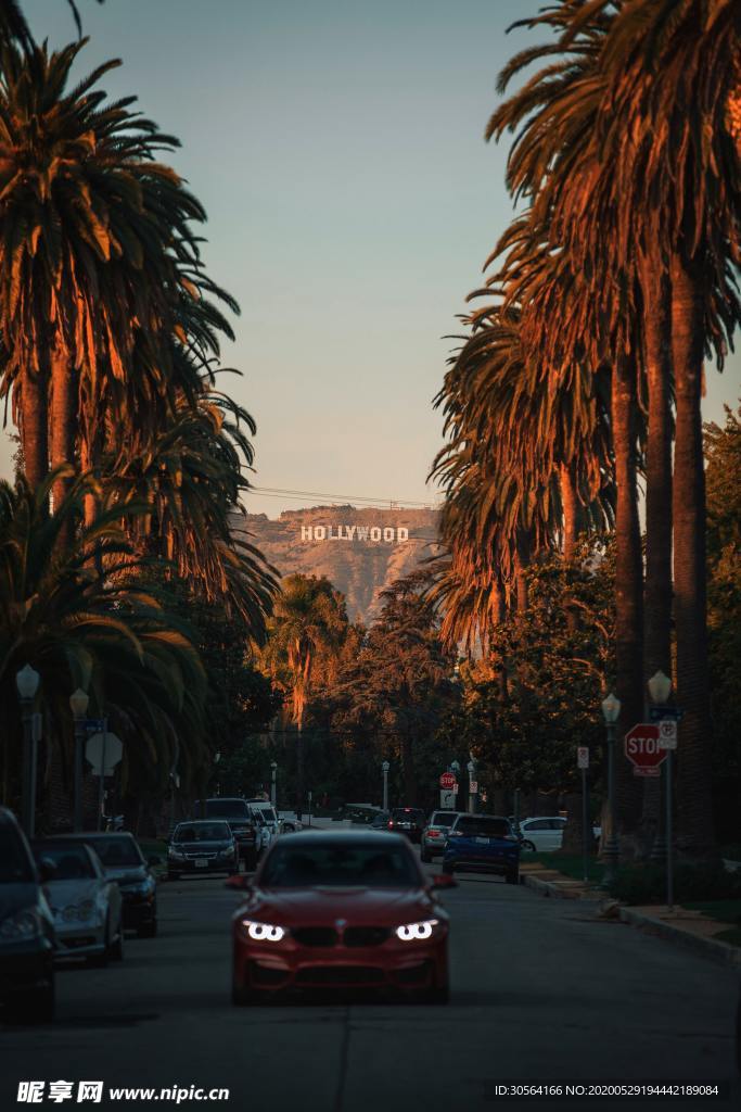 城市道路车流清晨树木背景素材