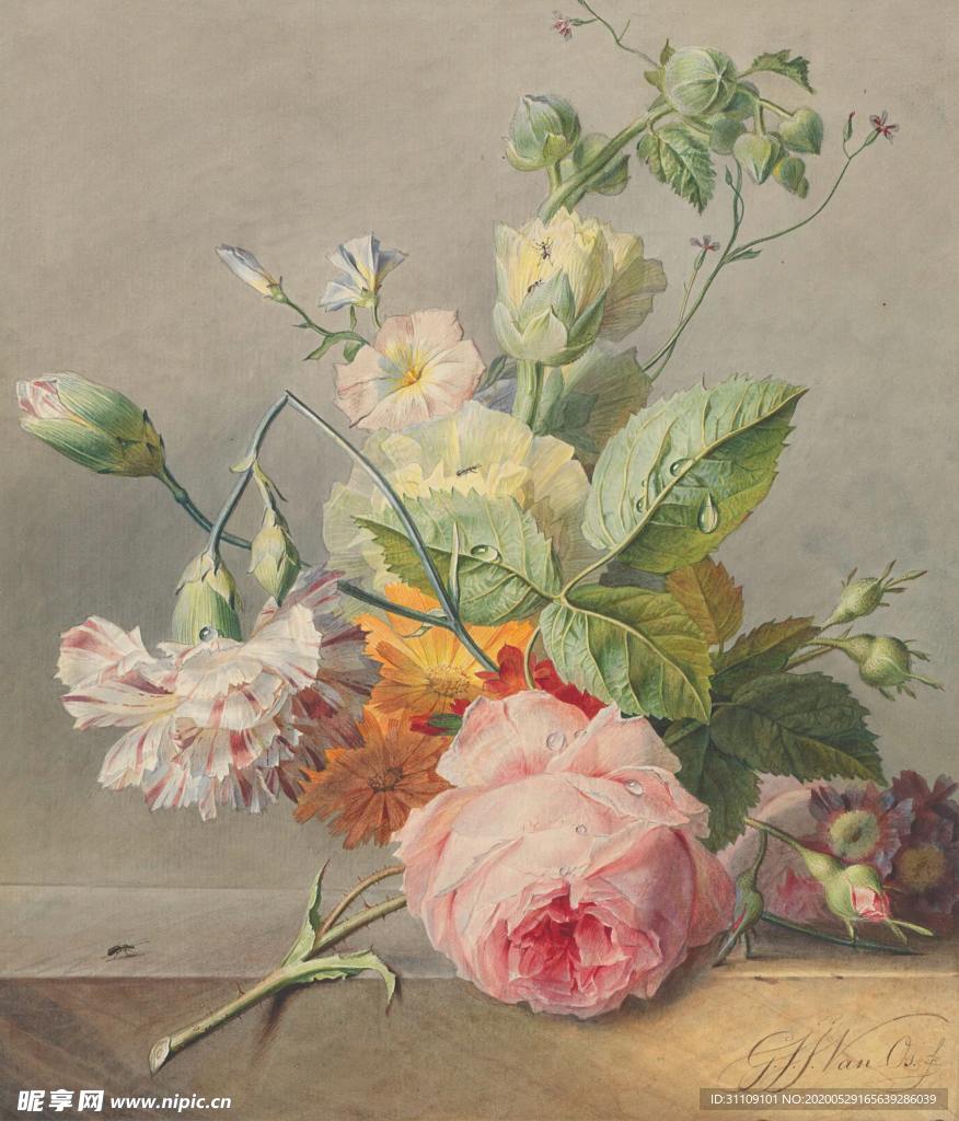 手绘插画月季康乃馨