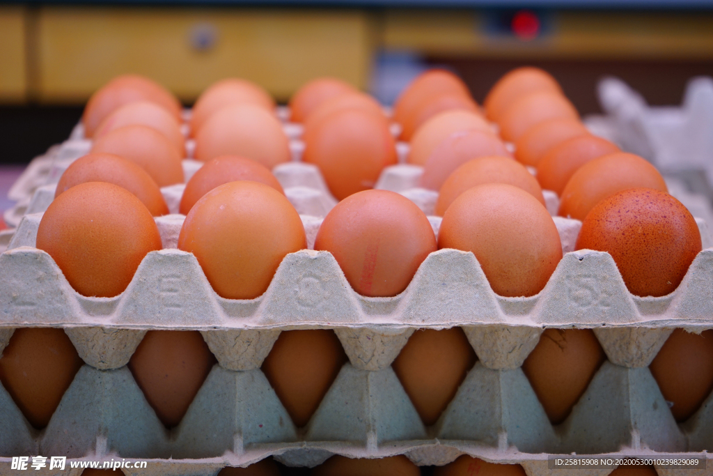 鸡蛋土鸡蛋图片