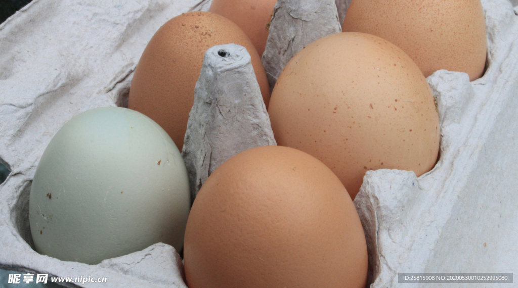 鸡蛋土鸡蛋图片