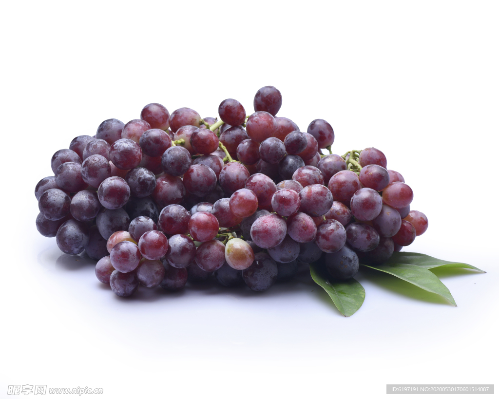 红提葡萄