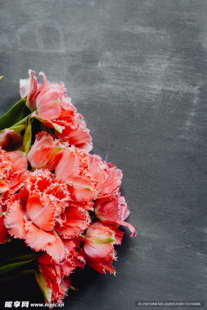 花束花艺插花桌花捧花图片