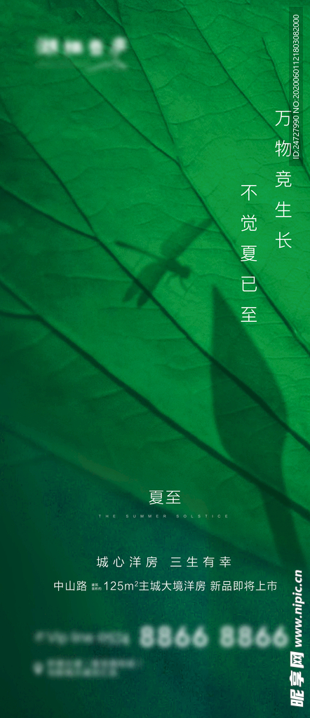 地产夏至节气海报