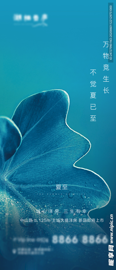地产夏至节气海报