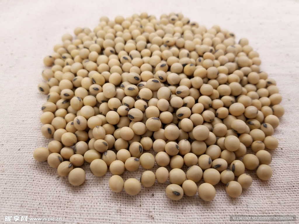 黄豆毛豆五谷杂粮图片