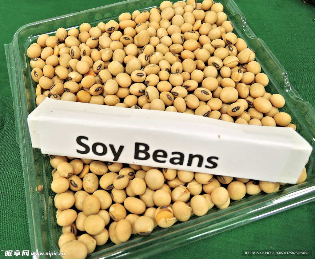 黄豆毛豆五谷杂粮图片