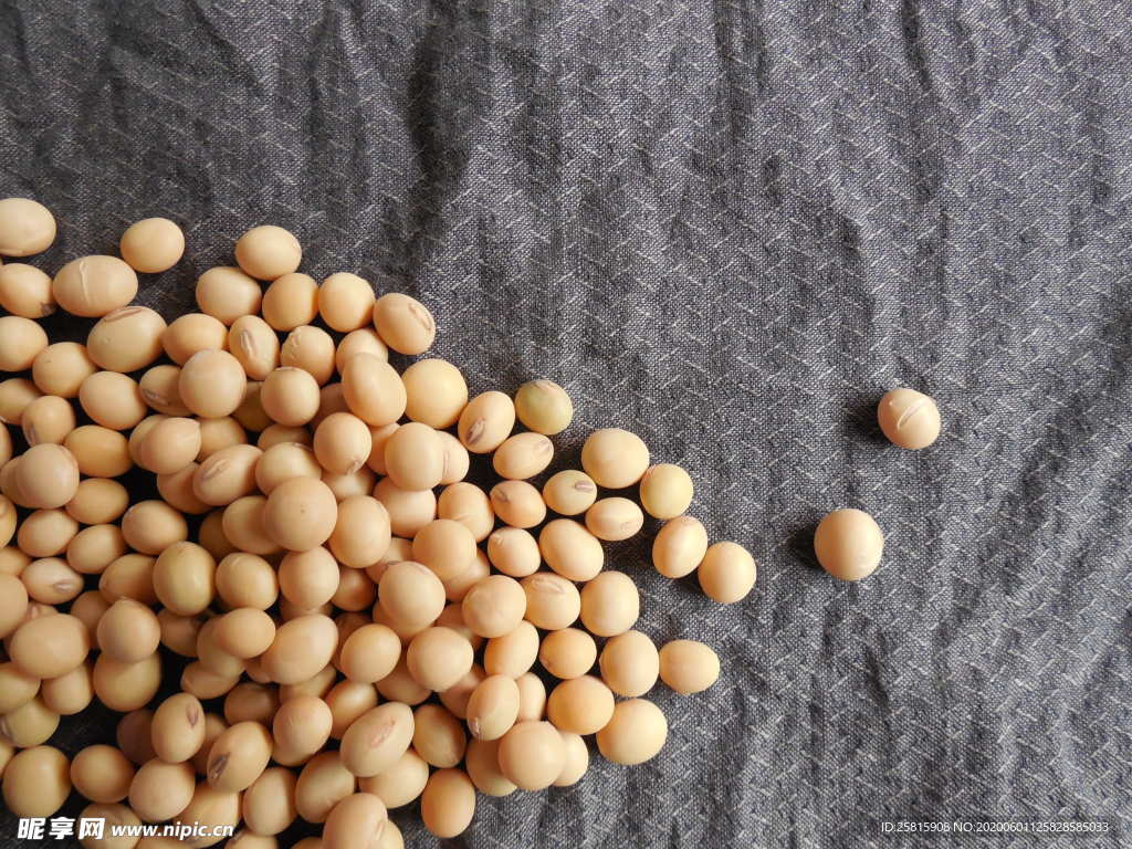 黄豆毛豆五谷杂粮图片