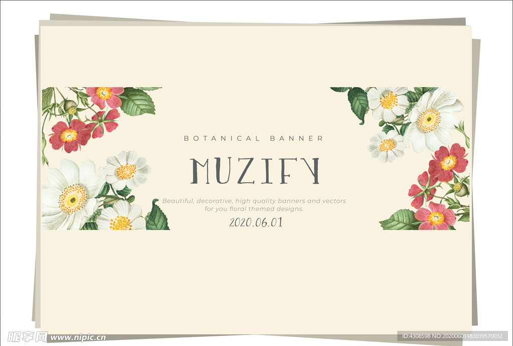 小雏菊 花朵边框