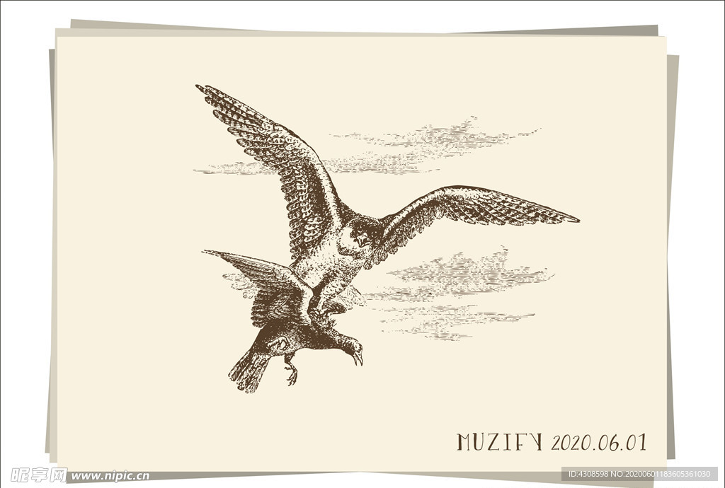 捕猎的鹰 素描画