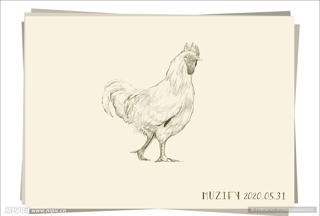 公鸡 素描画