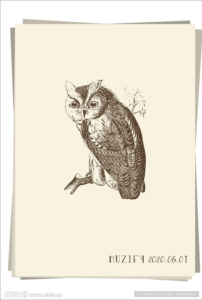 猫头鹰 素描画