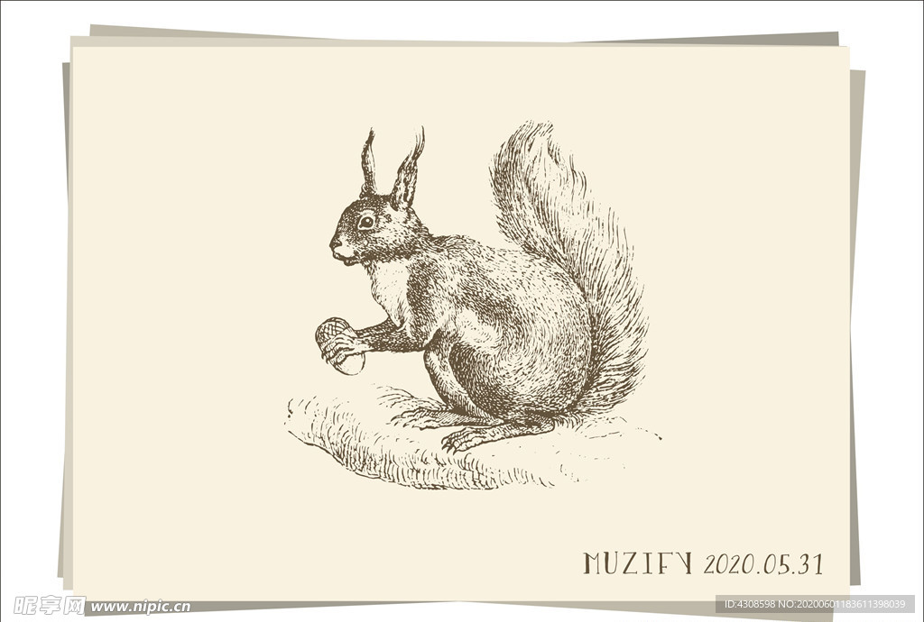 松鼠 素描画