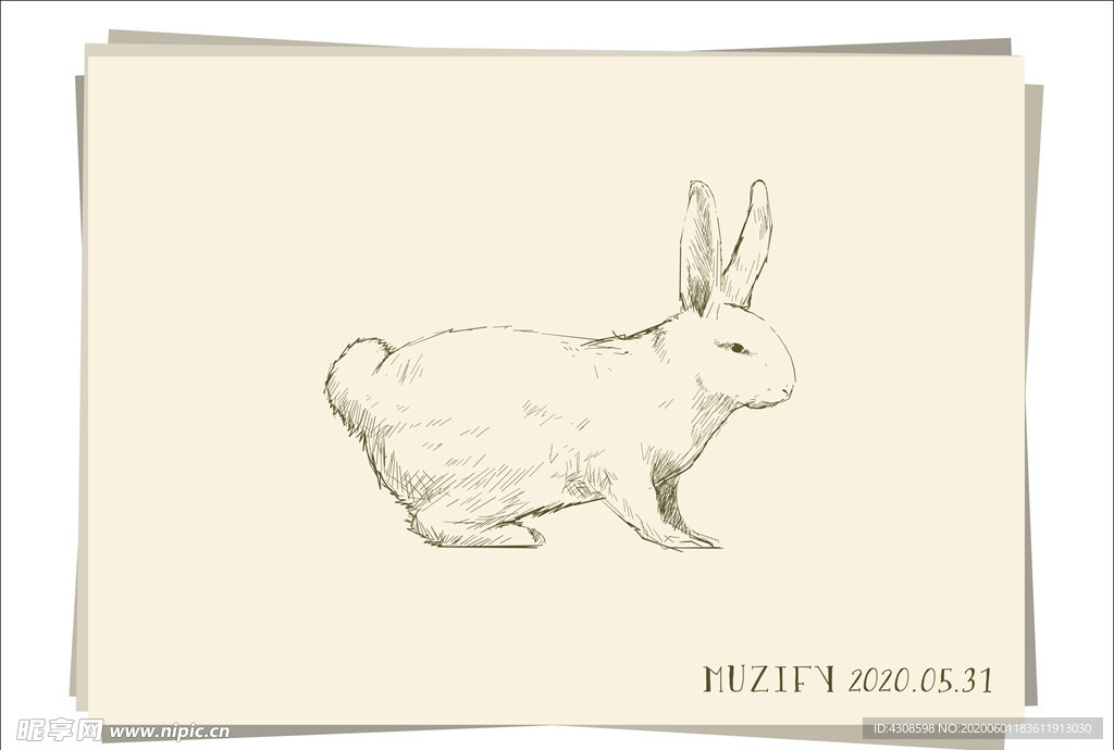 白兔 素描画