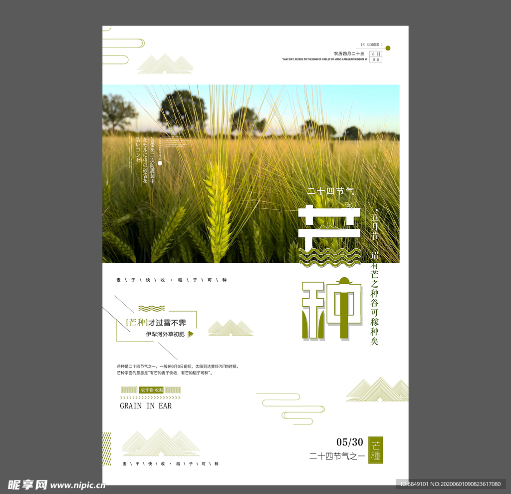 二十四节气芒种