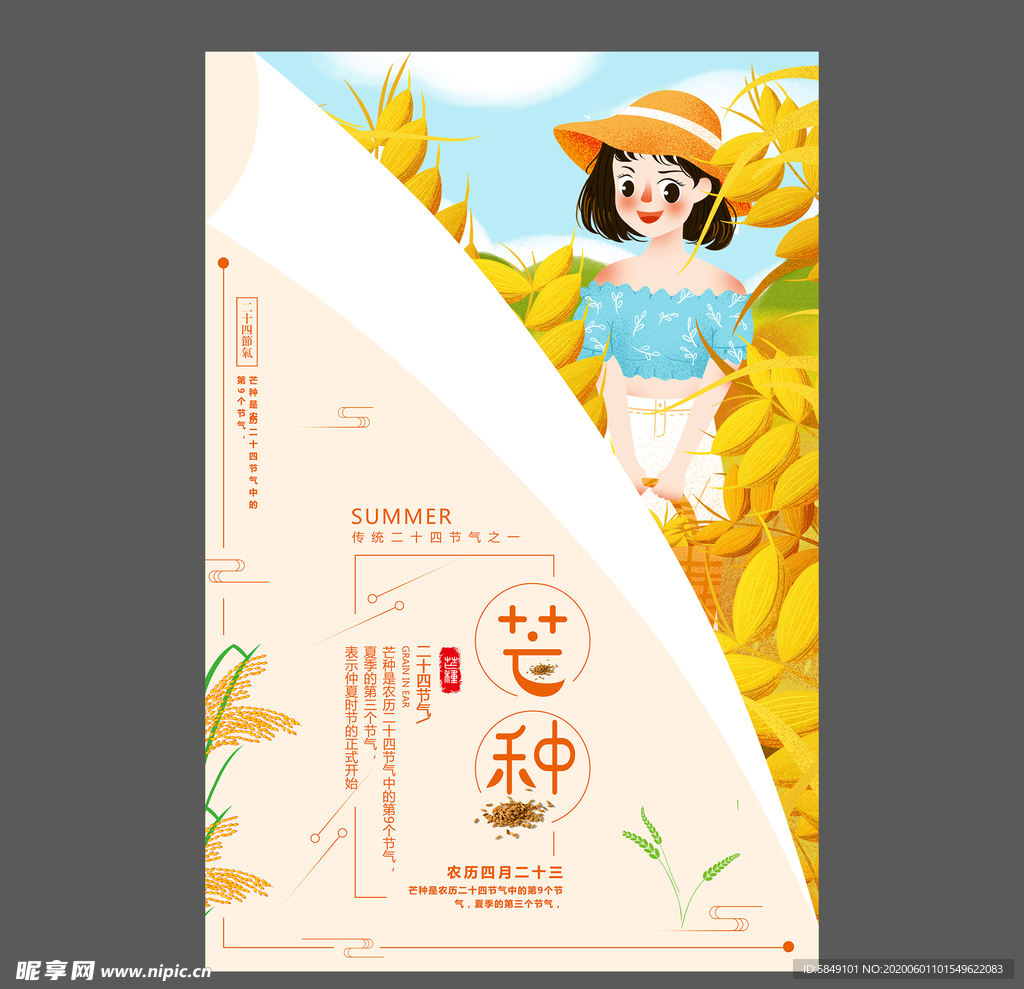 二十四节气芒种