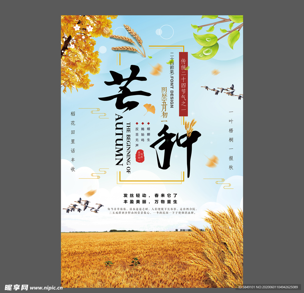 二十四节气芒种