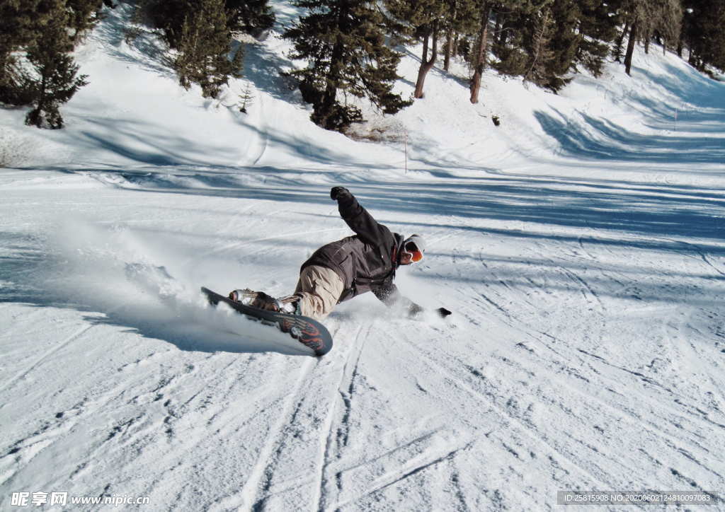 滑雪运动滑雪板图片