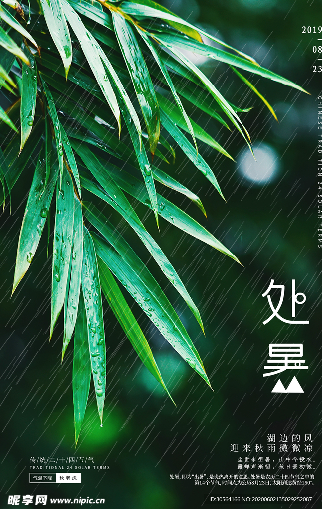 处暑古风传统气节清新海报展板