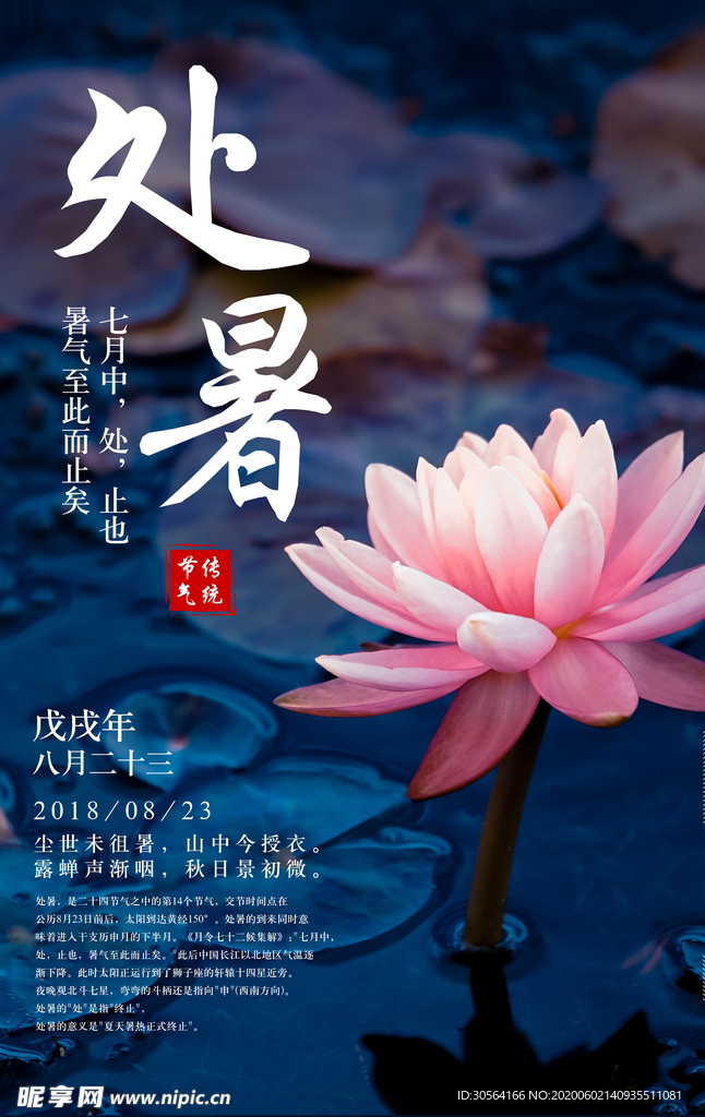 处暑古风传统气节清新海报展板