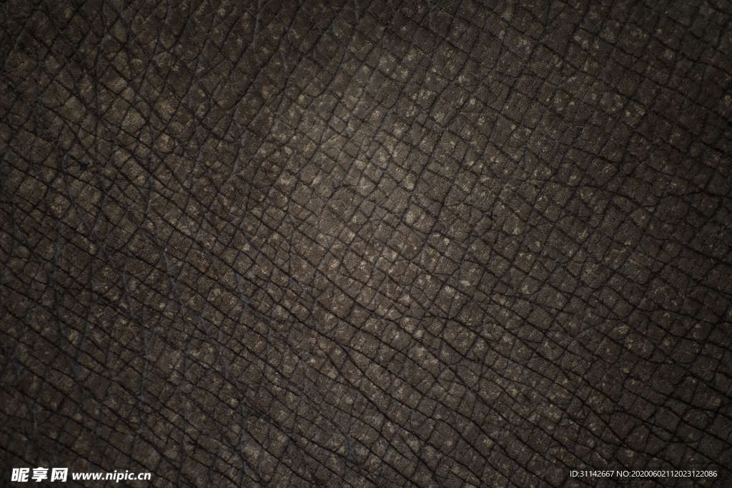 犀牛真皮纹理
