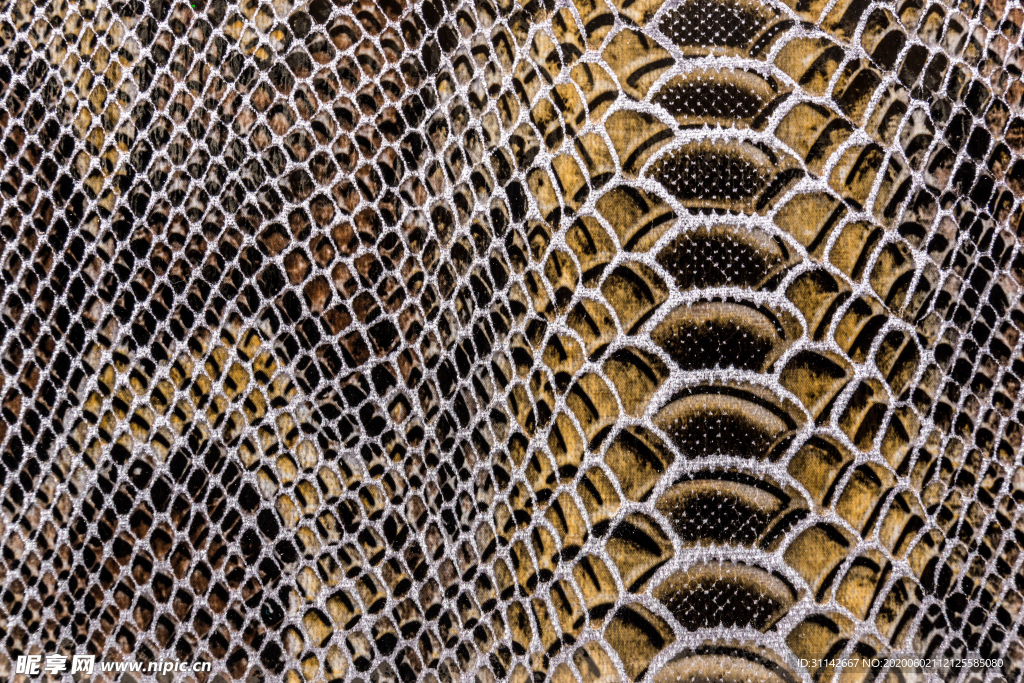 鳄鱼皮纹理