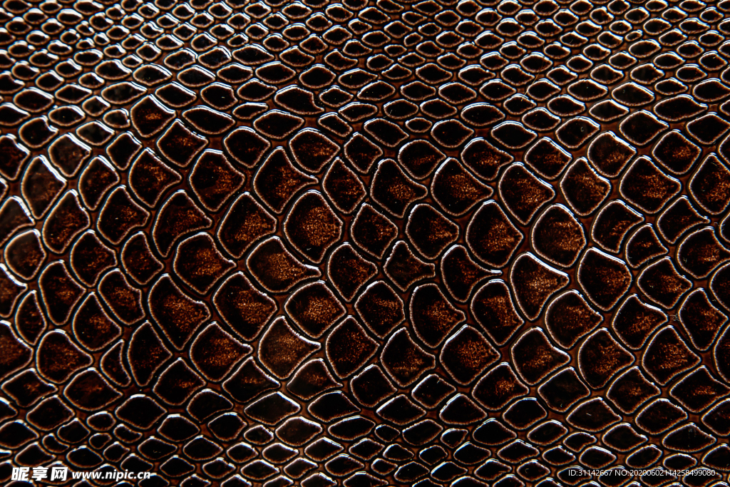 棕色蛇皮纹理
