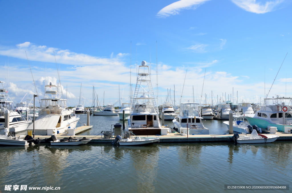 码头港口船舶图片