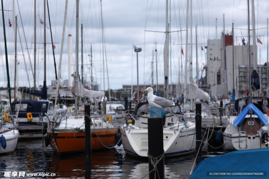 码头港口船舶图片