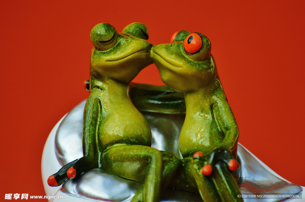 玩具青蛙搞怪青蛙图片