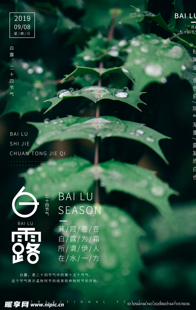 白露传统古风节气活动海报展板