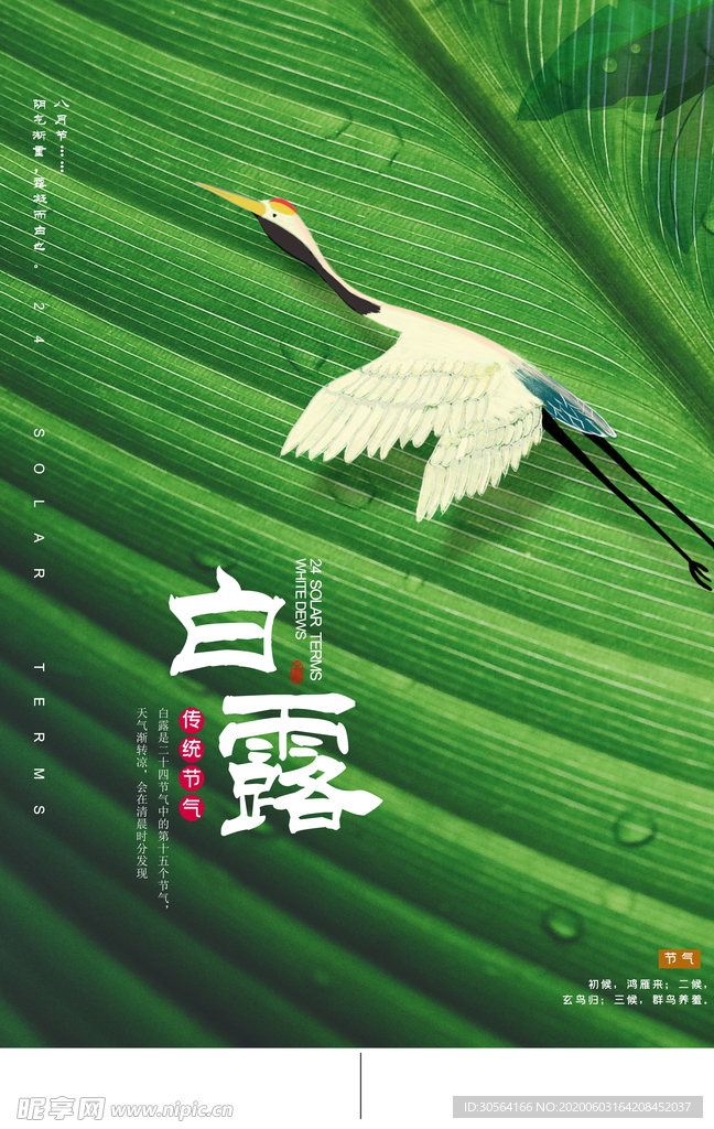 白露传统古风节气活动海报展板