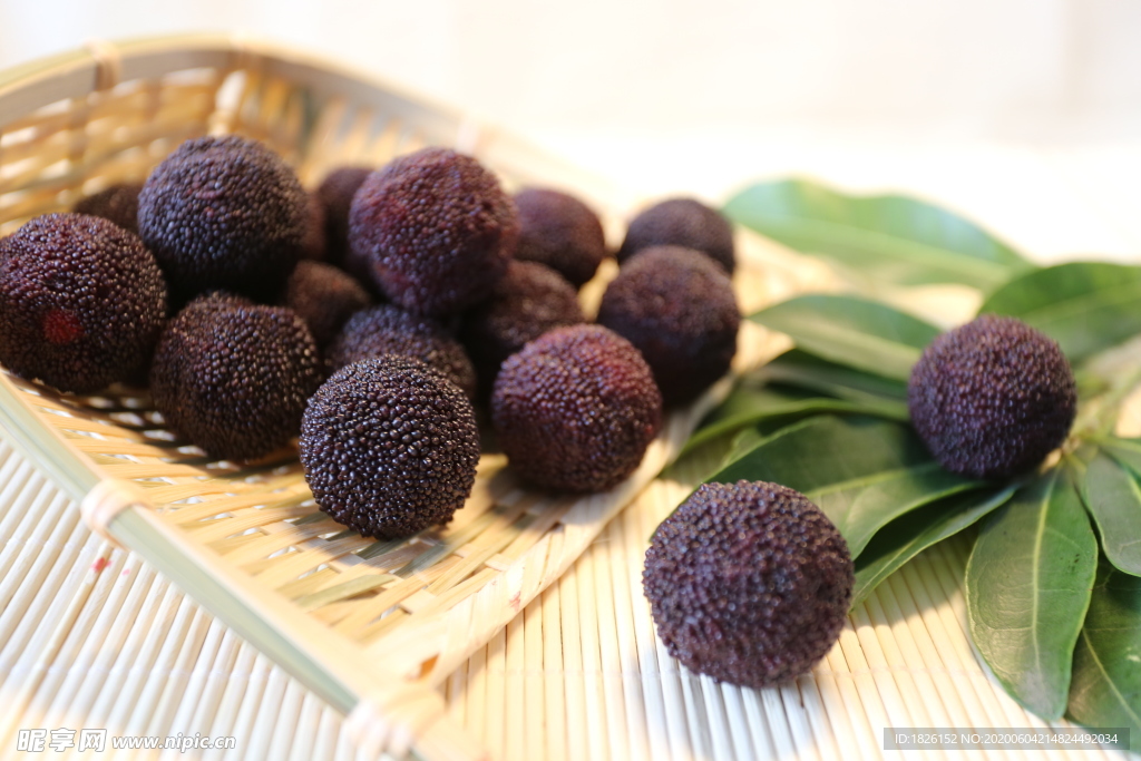 慈溪杨梅 新鲜杨梅