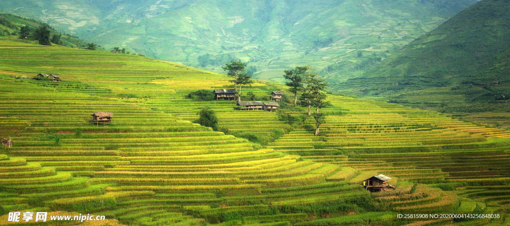 梯田唯美风景图片