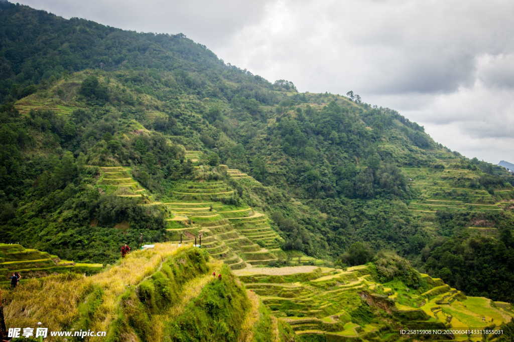 梯田唯美风景图片