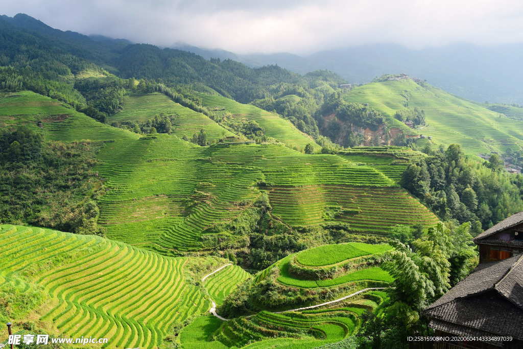 梯田唯美风景图片