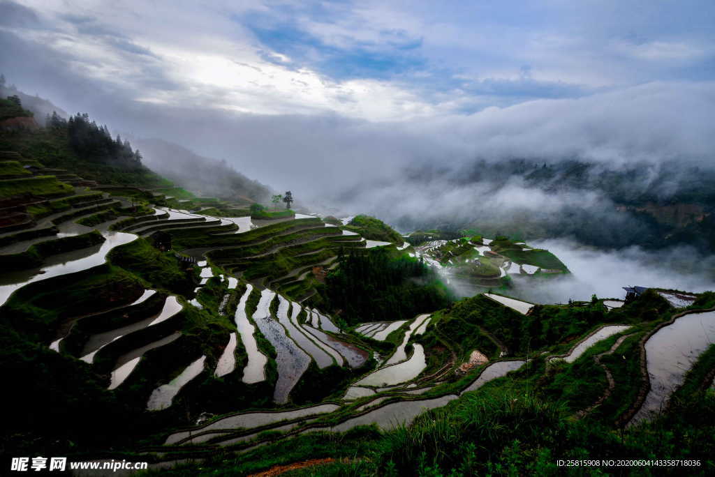 梯田唯美风景图片