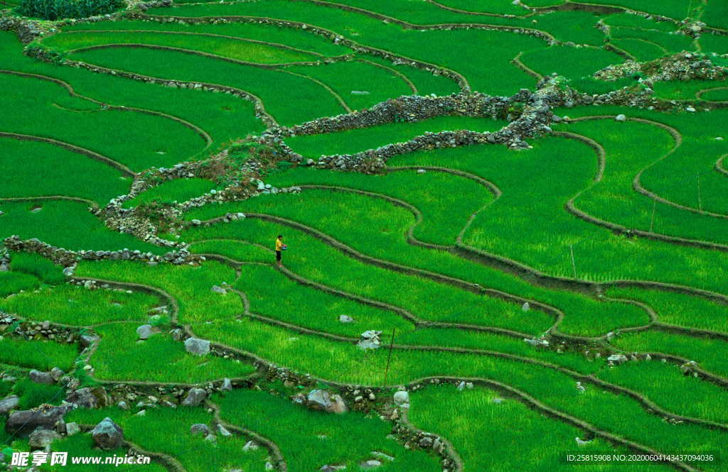 梯田唯美风景图片