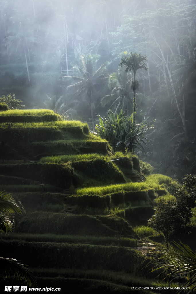 梯田唯美风景图片