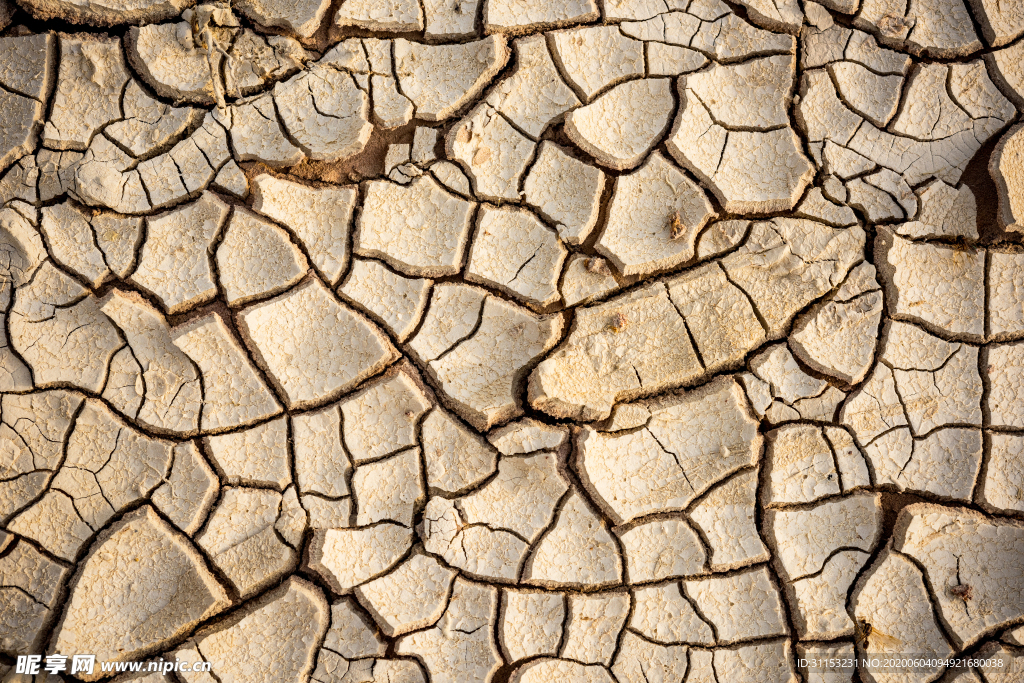 干旱土地