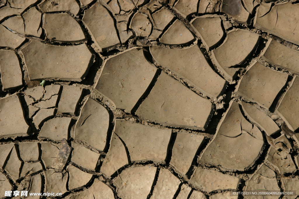 干旱土地