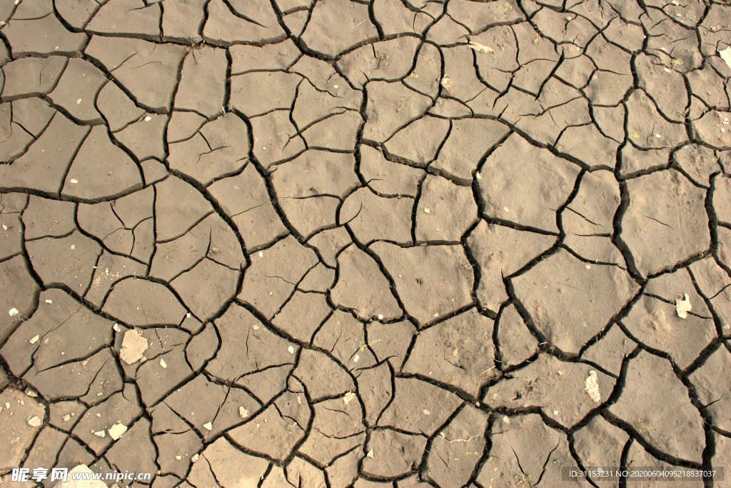 干旱土地