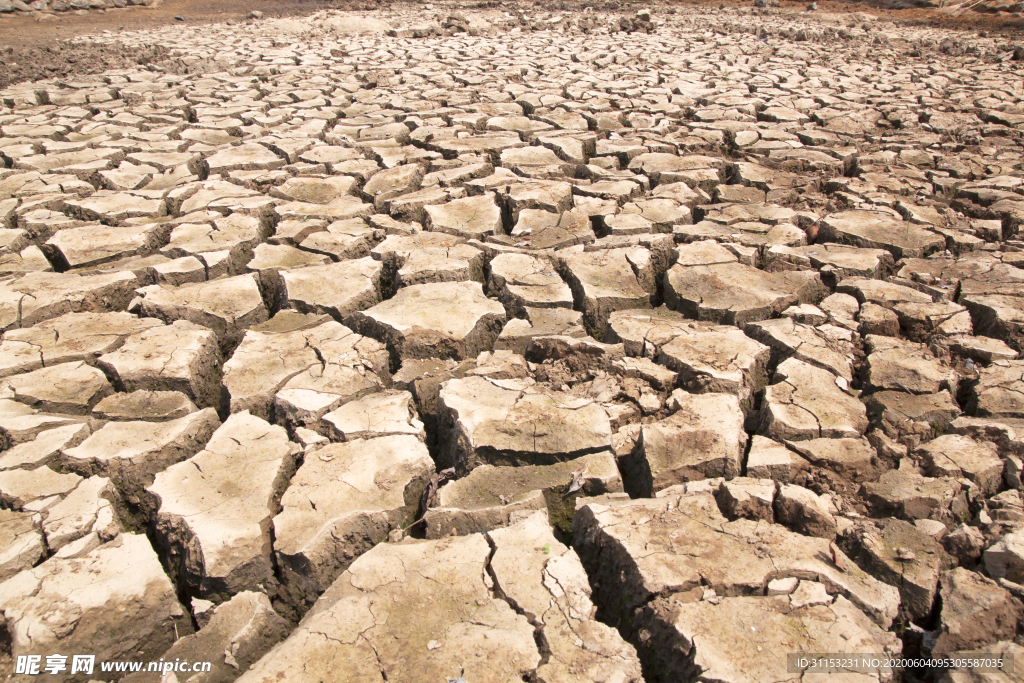 干旱土地