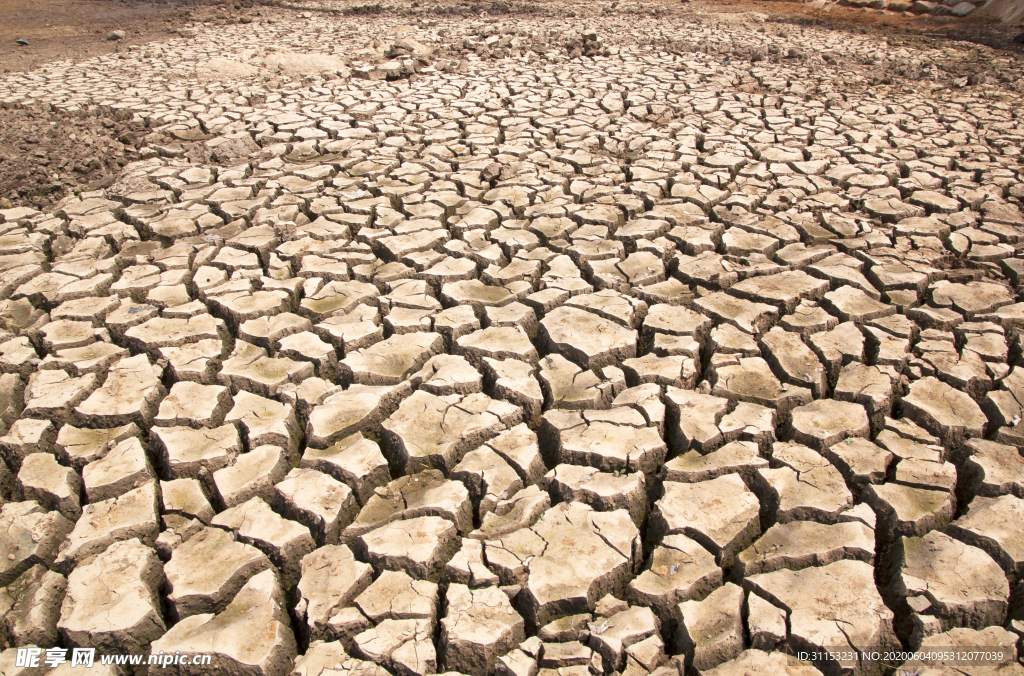 干旱土地
