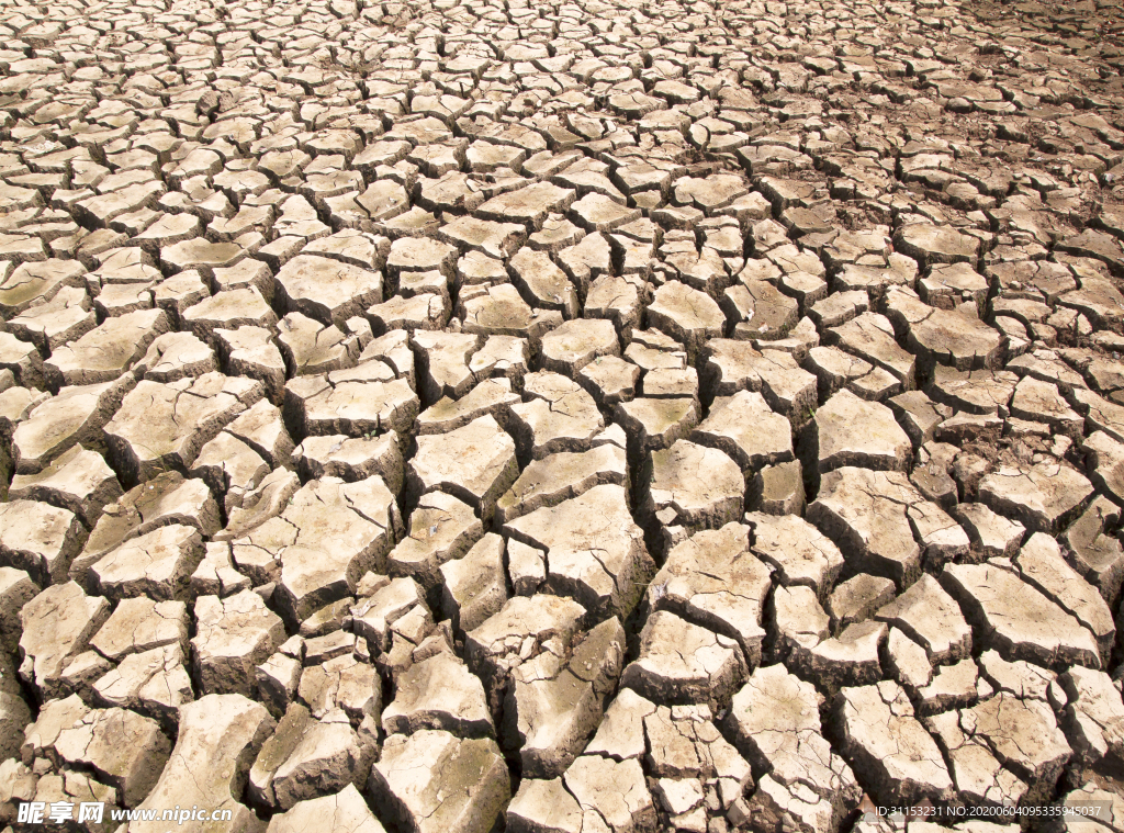 干旱土地
