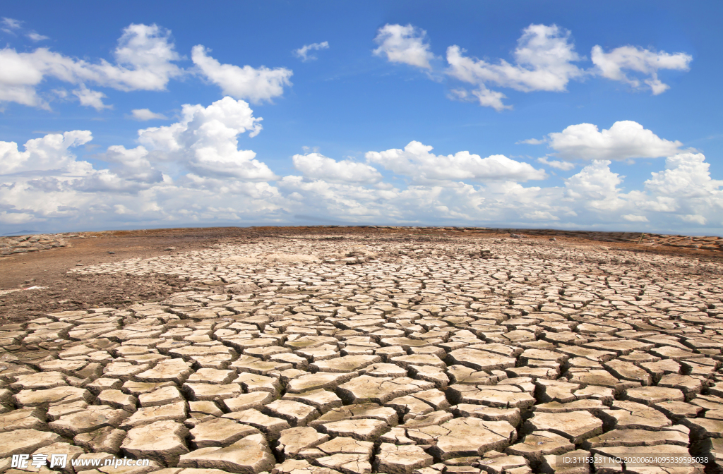 干旱土地