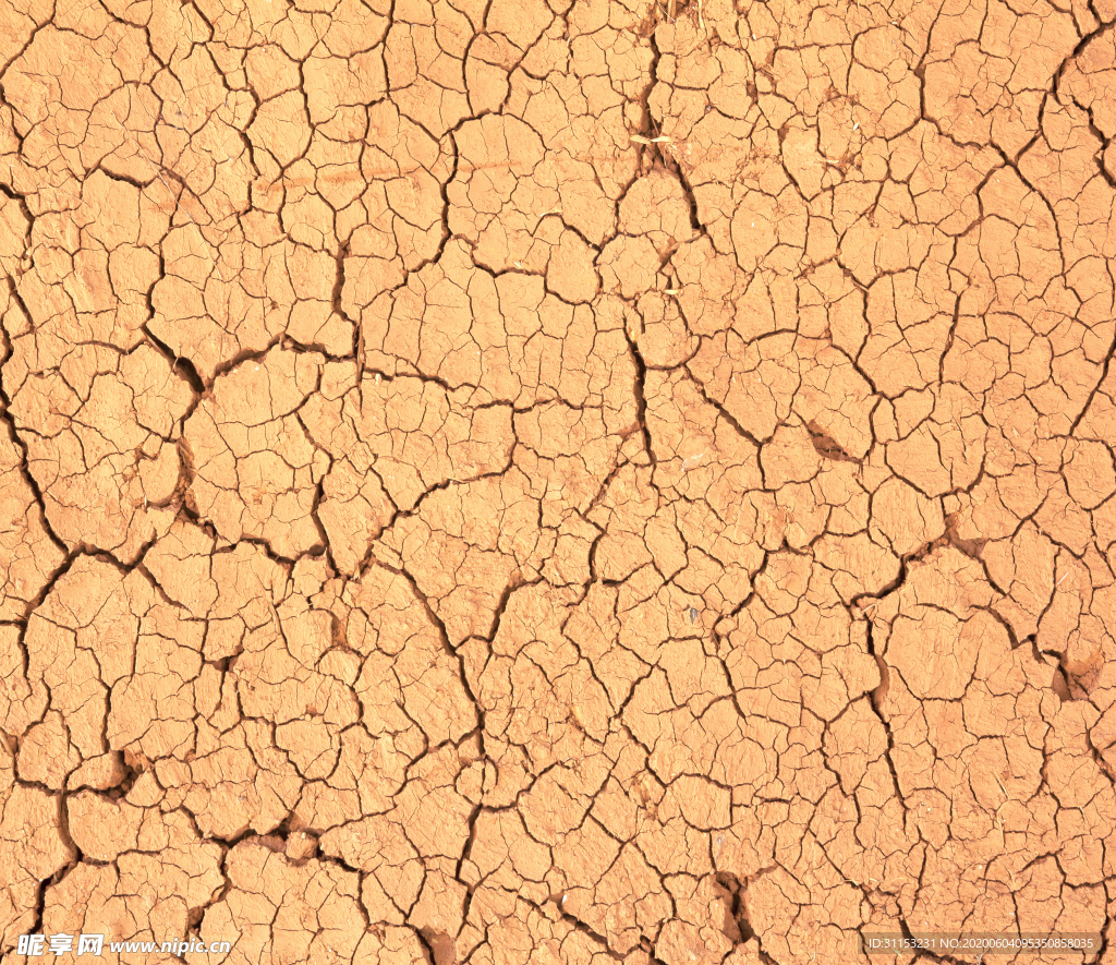 干旱土地